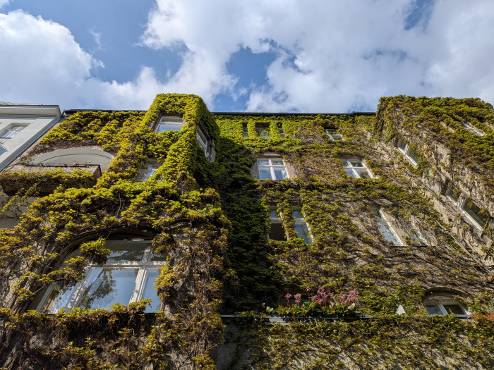 Googles neues Pixel belichtet Bilder ebenfalls sehr gut. (Bild: Tobias Költzsch/Golem.de)